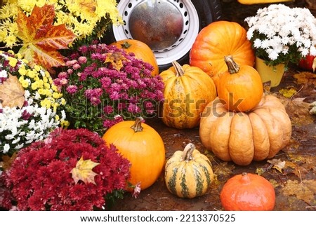 fall composition with old van, pumpkin, flowers and yellow leafs on the ground close up photo
