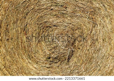 Close up of pressed hay in a round hay bale