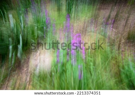 ICM In Camera Movement, abstract photography