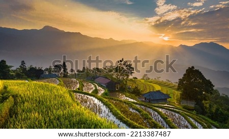 The majestic terraced fields in Ha Giang province, Vietnam. Rice fields ready to be harvested in Northwest Vietnam. Royalty-Free Stock Photo #2213387487