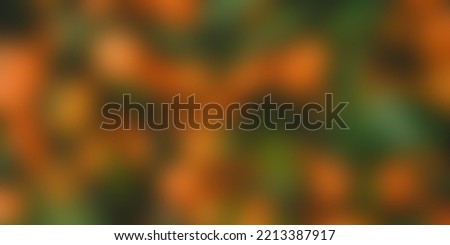 Colourful blurred background as background