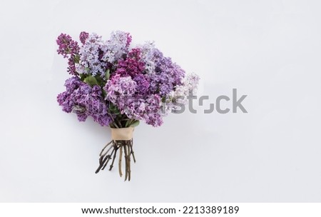 Creative still life. Purple lilac flower bouquet. Spring concept Royalty-Free Stock Photo #2213389189