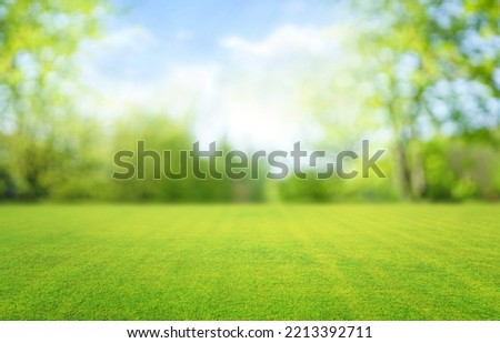 Beautiful blurred background image of spring nature with a neatly trimmed lawn surrounded by trees against a blue sky with clouds on a bright sunny day. Royalty-Free Stock Photo #2213392711