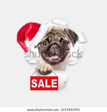 Happy Pug puppy wearing red santa hat looking through the hole in white paper and shows signboard with labeled "sale"