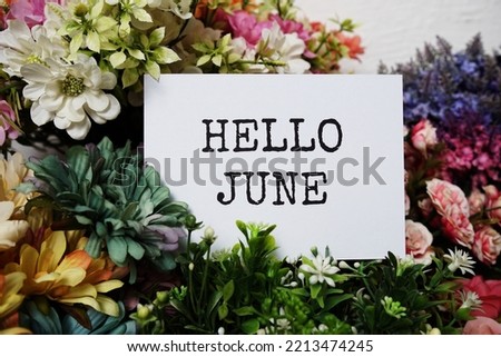 Hello June text message on paper card with beautiful flowers decoration