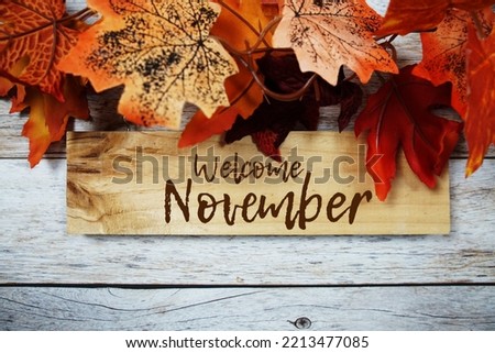 Welcome November text message written on sign board hanging with autumn maple leaves