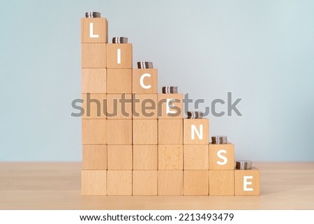 Wooden blocks with "LICENSE" text of concept and coins.