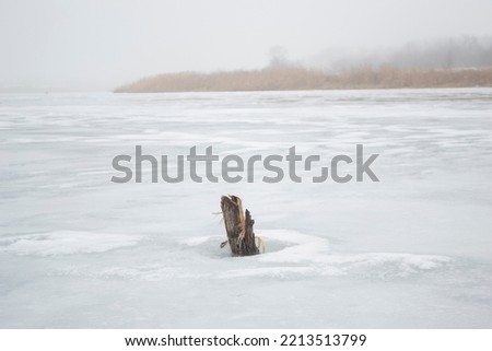 Stick sticks out of a frozen and ice-covered river. Winter landscape, cold and ice Royalty-Free Stock Photo #2213513799