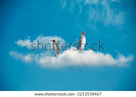 Photomontage, two penguins on a cloud, on a background of blue sky	