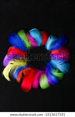 Black background texture of brightly colored dyed bird feathers frame in the colors of the rainbow or spectrum in a random pile viewed from above in a full frame view