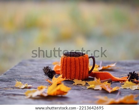 cup of tea or coffee in a knitted jacket on a wooden table in the park. autumn foliage and cones.
