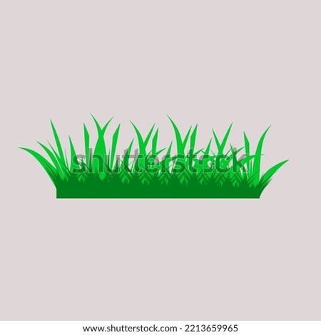 vector green grass natural isolated design