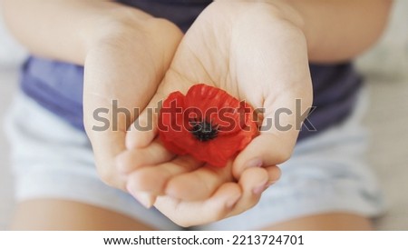 Hands holding red poppy flowers, remembrance day, Veterans day, lest we forget concept