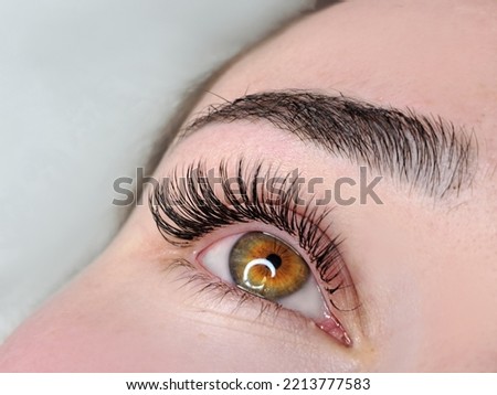 Close up of eyelash Extensions in beauty salon macro eye. High quality photo Royalty-Free Stock Photo #2213777583