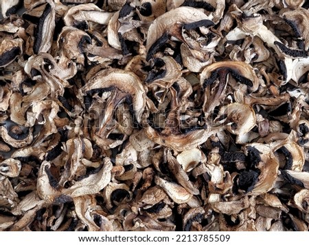 The idea of natural organic ecological products and their preparation for future use for autumn and winter.Autumn background of dried mushrooms.