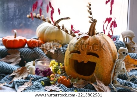Halloween pumpkins with burning candle, flowers and skeleton on plaid near window