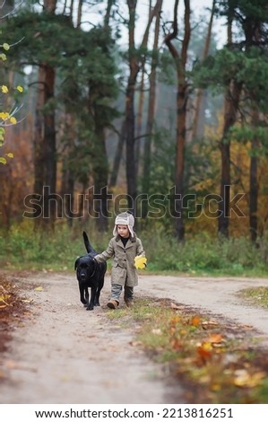 A happy little boy stands with his buddy black big labrador retriever in a beautiful autumn forest, a child plays with a dog during a walk in nature after the rain. 