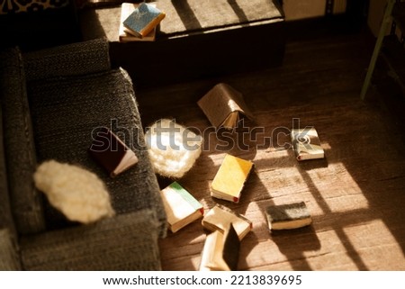 The house for the doll is scattered books.T he roombox is an inside view of scattered books and whindow. interior of a miniature house.
