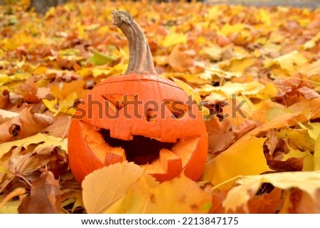 Scary face of halloween pumpkin