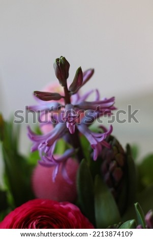Bouquet of pink and lilac spring flowers, hyacinths on a wood background. Top view, copy space stock photo