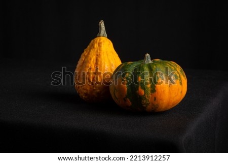 Close-up of two pumpkins for halloween on table with tablecloth and black background, horizontal, with ciopy space