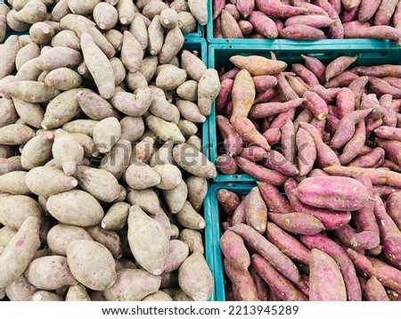 Fresh organic sweet potatoes group in the container for sale in the big market center in Bangkok Thailand. Ingredient for cooking food, good benefits and high vitamins for healthy eating