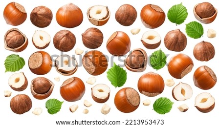 Set of hazelnuts, green leaves and small nut pieces isolated on white background. Collection #1-3. Package design elements with clipping path Royalty-Free Stock Photo #2213953473