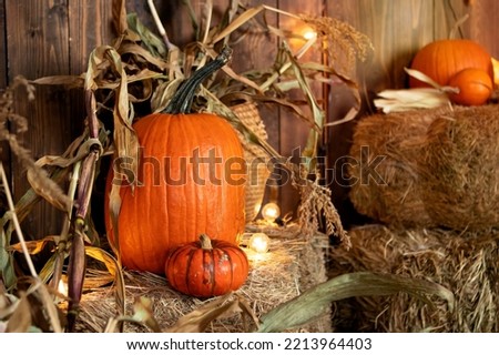 orange pumpkin on hay, halloween concept