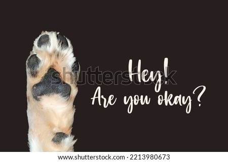 Hey! Are you okay? Dog paw on a dark background, isolate.