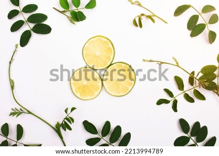 Composition of lemon slices with green leaves