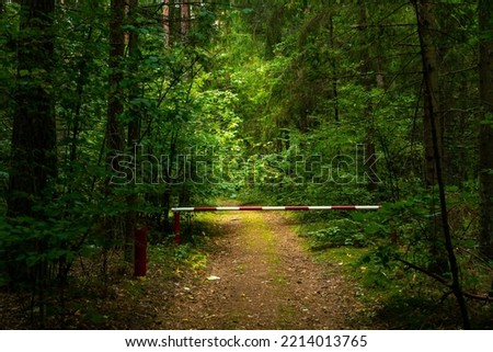 A barrier on a dirt road in the forest. A beautiful autumn forest and a quiet cozy path for walking and relaxing. The border of the state passes through the forest thicket.