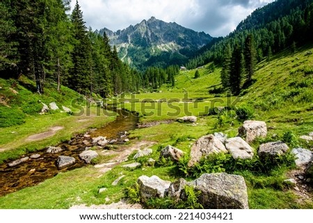 alpine paradise small valley with alpine stream between the peaks of the Lagorai mountain range in Val Campelle Trento Italy Royalty-Free Stock Photo #2214034421