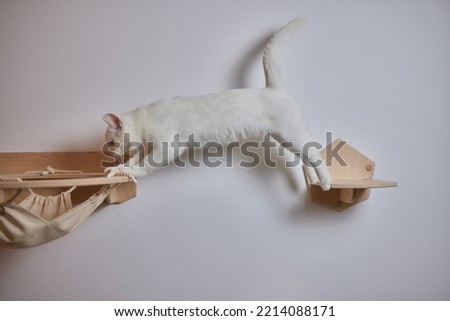 Cat scratching post wall mounted in modern room for pet on white wall, stylish decoration for cat owner with copy space.