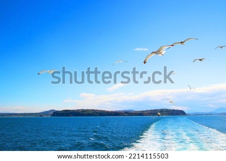 Heavenly view from the Gulf of Naples at a sparse group of seagulls scattered around the picture in the deep blue and azure sky with clouds in the background, a wide wake of the ship and outcrops
