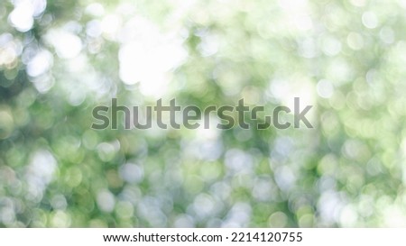 Fresh nature green bokeh lights abstract background from nature forest out of focus. Blur park with bokeh light, nature, garden, spring and summer season. Blurred image of the natural green background