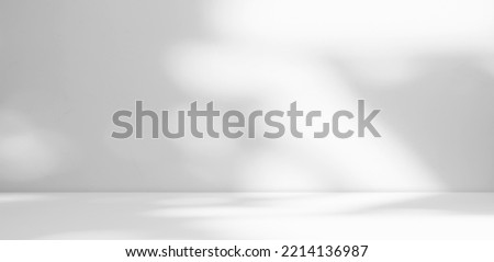 Background Podium White Grey Kitchen Abstract Studio Nature Light Mokcup Room Product Shadow Leaf Plant Space 3d Shelft Effect Blank Place Wall Cement Scene Mockup Table Platform Minimal Podium.