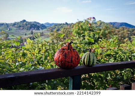 Gourd on wooden fence with beautiful vineyards and landscape in background