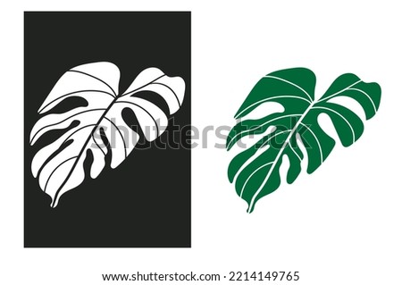 Close-up stencil Monstera leaf. Monstera leaf vector silhouette.