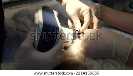 An x-ray of the tooth root is performed on an animal under anesthesia on a portable x-ray machine. An x-ray film is inserted into the animal's mouth. The concept of dentistry in animals.