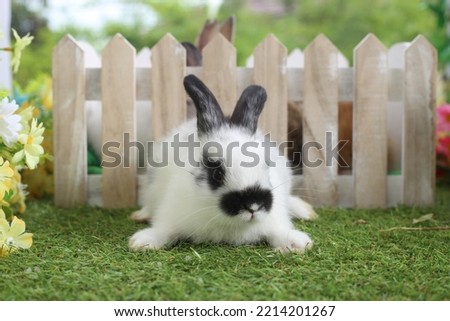 Cute little rabbit on green grass with natural bokeh as background during spring. Young adorable bunny playing in garden. Lovely pet at park