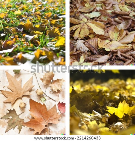 beautiful simple peaceful photos describing autumn
