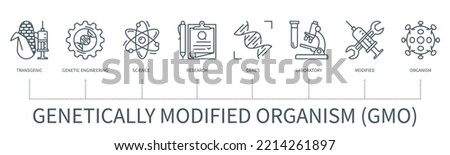Genetically modified organism GMO concept with icons. Transgenic, genetic engineering, science, research, genes, laboratory, modified, organism. Web vector infographics Royalty-Free Stock Photo #2214261897