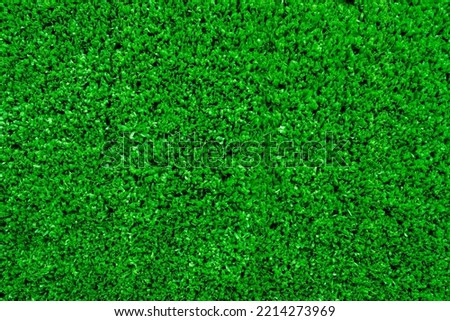 Green grass background, football field
