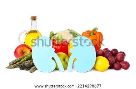 Paper cutout of kidneys and different healthy products on white background