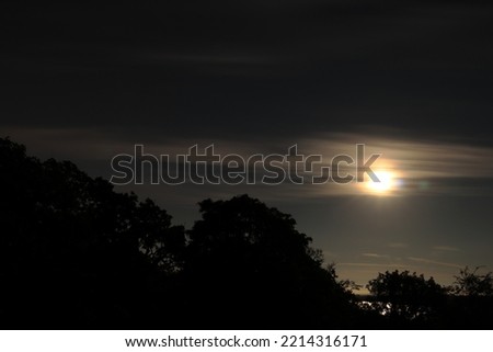 Moon behind some clouds. Night photo. Dark forest silhouette. Järfälla, Stockholm, Sweden, Scandinavia, Europe.