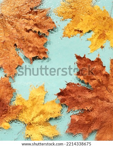 Autumn frame background, maple leaves covered drops rain, colorful yellow orange autumnal colors, turquoise fon. Blurred wet leaves as abstract nature screensaver. Fall aesthetic photo, minimal style