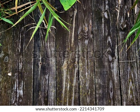 Black Dark wooden texture. Wood black texture. Background old panels. Retro wooden table. Rustic background. Vintage colored surface.