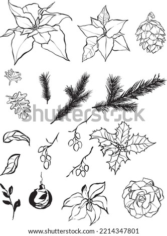Vector Christmas set of black contour poinsettia, rose, berries and fir branches. Hand painted holiday elements isolated on white background. Illustration for design, print, fabric or background.