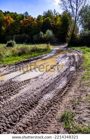 Muddy forest road in nature with tire tracks of tractors and off-road vehicles