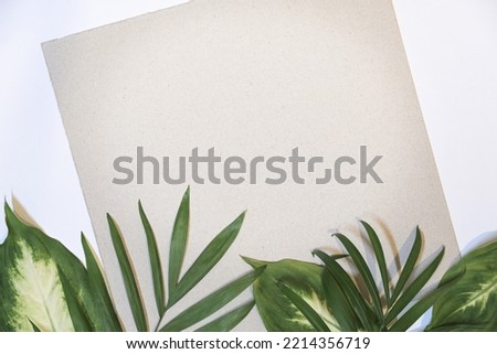 natural composition with copy space and leaves